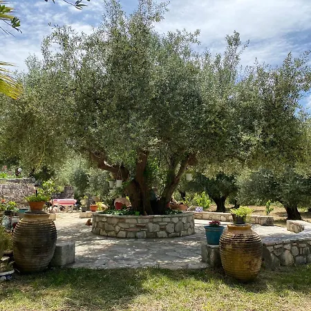 Marina Sami (Kefalonia)
